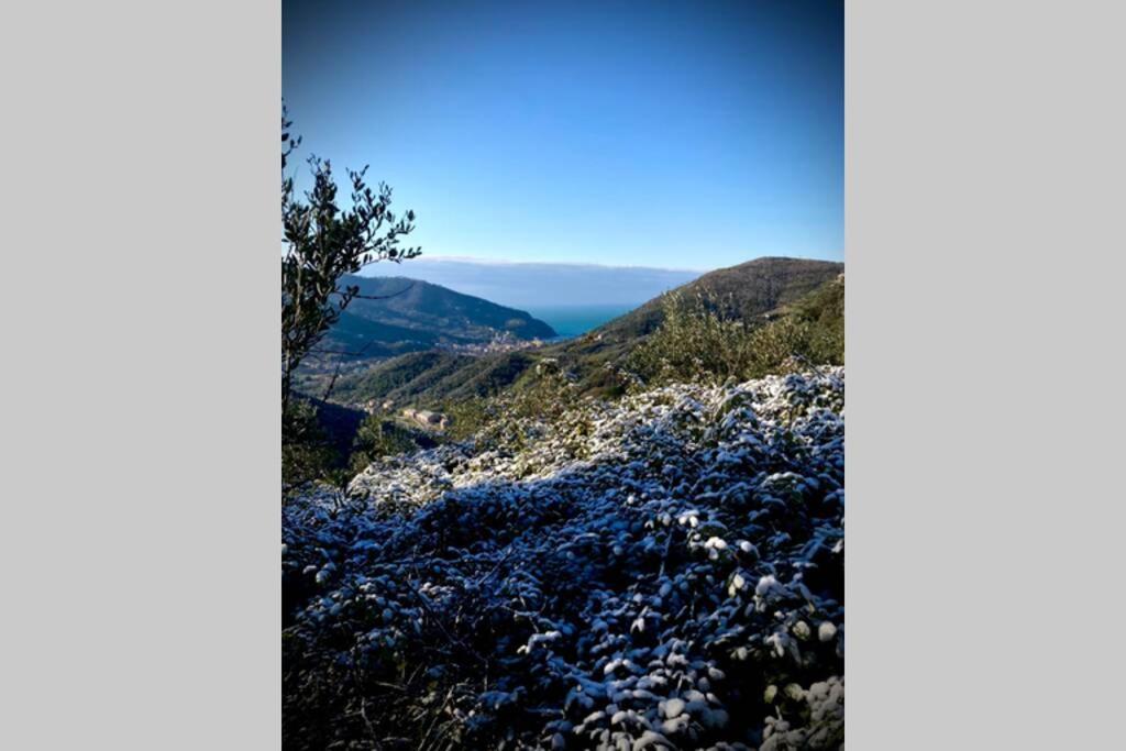Casa Sara, Levanto, In Collina Ad Un Passo Dal Mare!